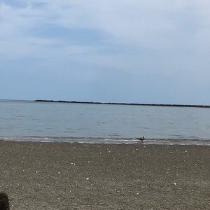 Meet your Posher, Alice